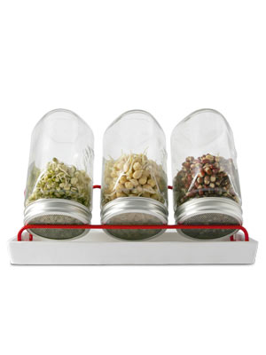 sprouting jars